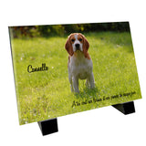 Plaque funéraire <br> « Chien Beagle »