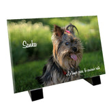 Plaque funéraire  <br> « chien Yorkshire Terrier »